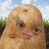 Mrs. Potato's profile picture