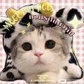 ปาน's profile picture