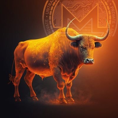 EncryptedMonero's profile picture