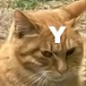 Profilbild von mrbryan