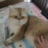 秋秋秋秋秋秋子 profil fotoğrafı