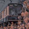 Soso profil fotoğrafı