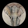 Richard E. Barsom's profile picture
