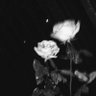 Фото профиля someone