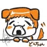 Profilbild von どんちゃん🍙(^○^)