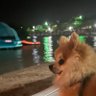 Evrim Güven's profile picture