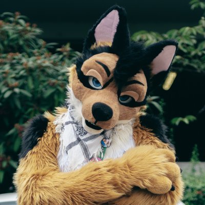 RedRocketDragon's profile picture