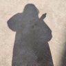 Profilbild von mu.s