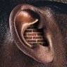 TAVERSHIMA's profile picture