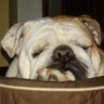 Don Smith's profile picture