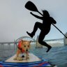PaddleboardDog profil fotoğrafı