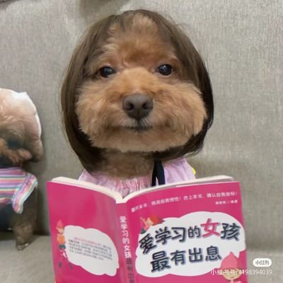 滴粒粒滴粒哒啦's profile picture
