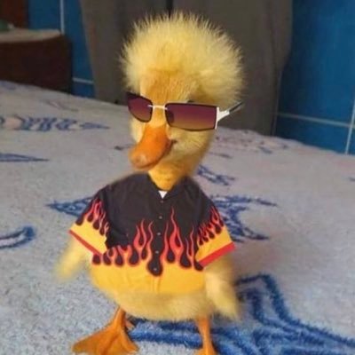 Zion.T's profile picture