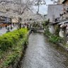 Фото профиля もなか