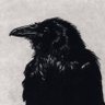 Bran Fendigaid's profile picture