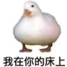 Rebred's profile picture