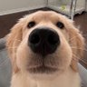 Professional Player Hater's profile picture