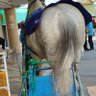 ひー's profile picture