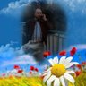 Profilbild von سامر حسني السعد