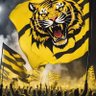باكBAK48🏆 的头像