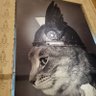 Profilbild von Kittens for Kamala