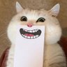 Qwertyjerky's profile picture