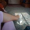 Фото профиля My_name_Laura