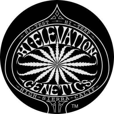 Hi-Elevation Genetics's profile picture
