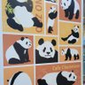 ブーミ🐼💝's profile picture