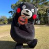 熊本のつよポン🐻🎤🎶🦋🥒🍓 profil fotoğrafı