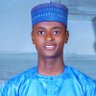 Hassan Adamu 的头像