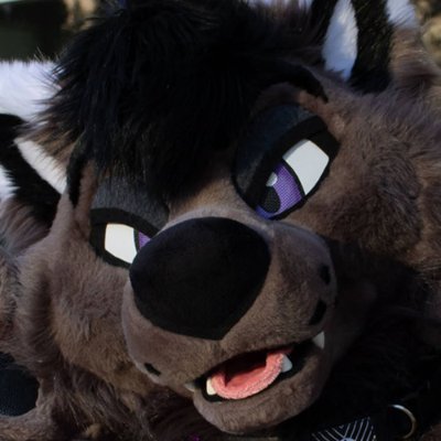 Wuffydave's profile picture