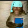 Gabriel Alvarez's profile picture