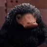 ๐ ๐ฏ๐ฒ๐ ๐ฆ๐ฌ's profile picture