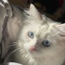 天空's profile picture