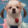 Eva's profile picture