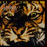 Фото профиля DT Bilardo 🐅