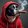 $hillan0n's profile picture