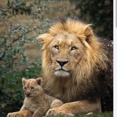 HappyLife's profile picture