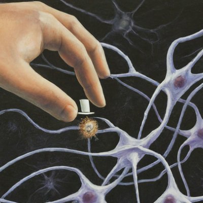 brian-machado-high-inference's profile picture