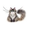 Profilbild von kyawthuhtun leo