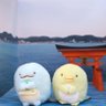 なんでおるん？のたか profil fotoğrafı