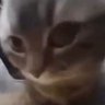 vdmin's profile picture