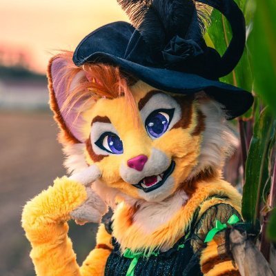 KittyD's profile picture