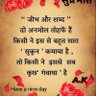 🚩सनातनी 🚩's profile picture