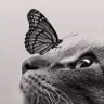 priceless profil fotoğrafı