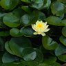 Фото профиля BARUアツクラ垢