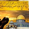 يقين's profile picture