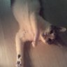 chenleejean profil fotoğrafı
