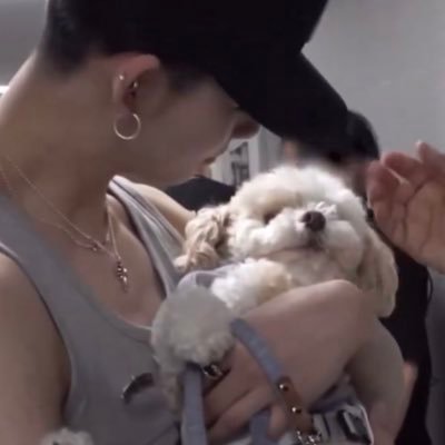 mandu's profile picture